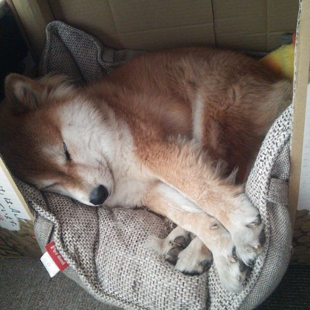 改革创新推动青少年足球场地普及，乡村振兴新引擎，推进全国青少年校园足球改革建设研究