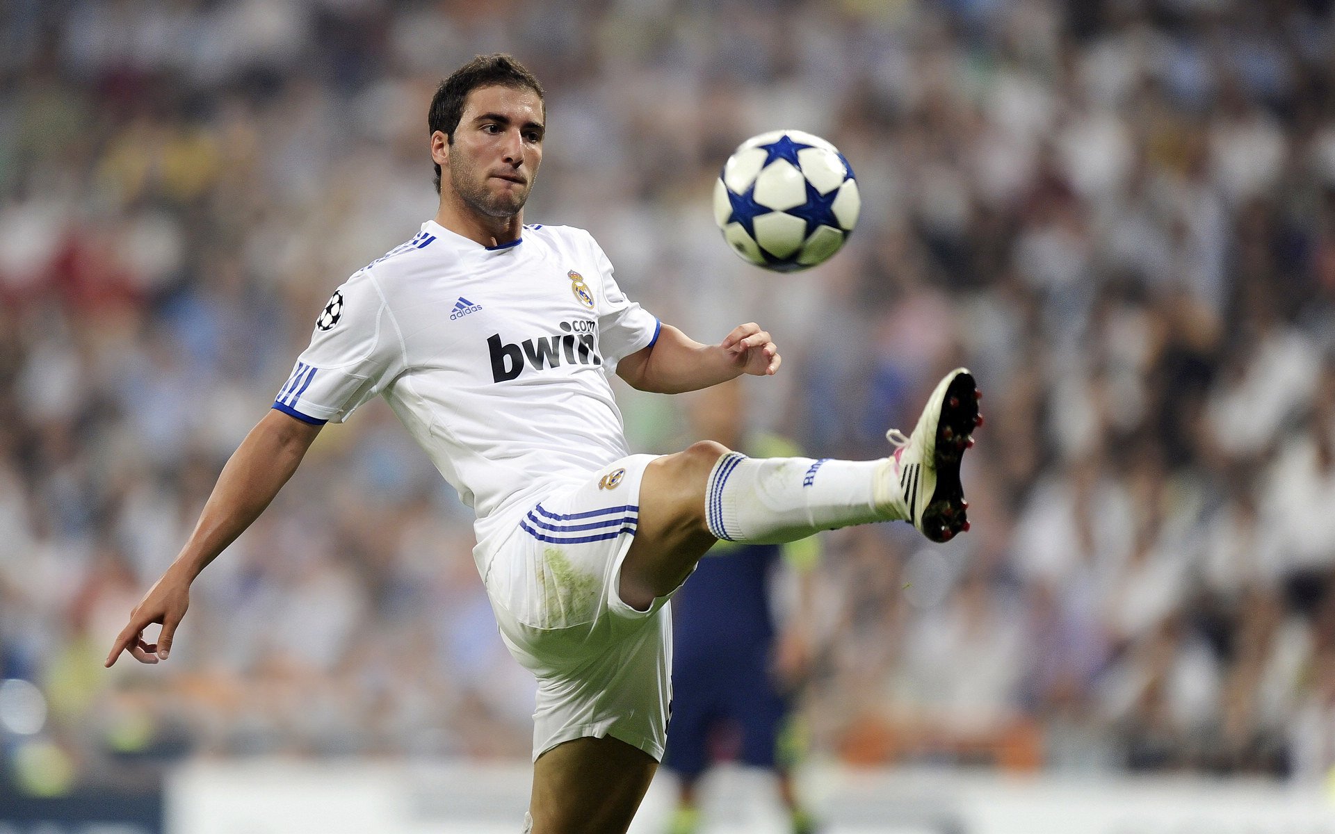 哪支橄榄球队拥有最多关注度？，橄榄球队人数最多