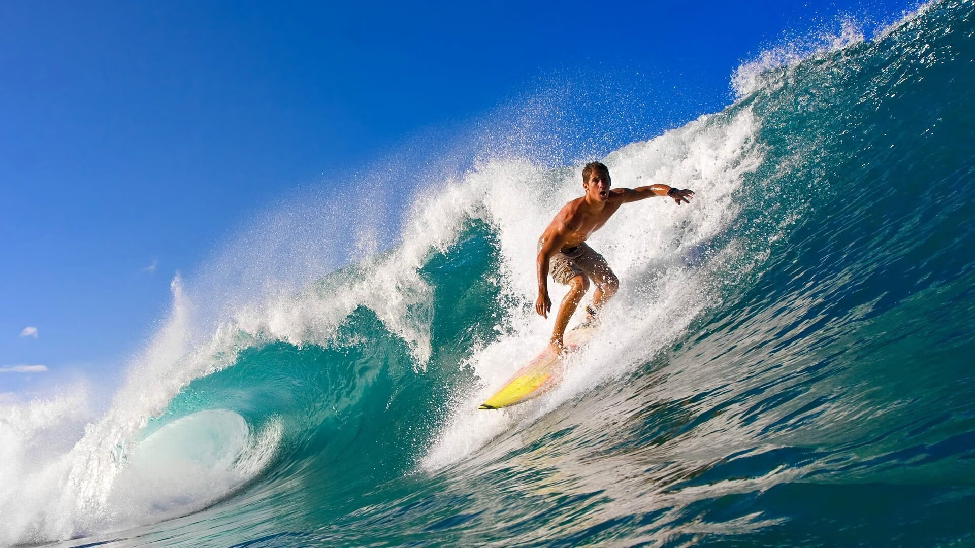 欧洲杯冠军争夺:战术、意志、团队的极致较量,欧洲杯冠军猜测