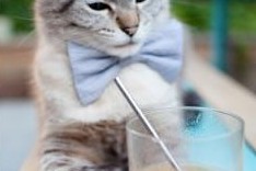 爱游戏在线登录入口-新型引擎亮相：F1动力系统全新升级，f1 动力